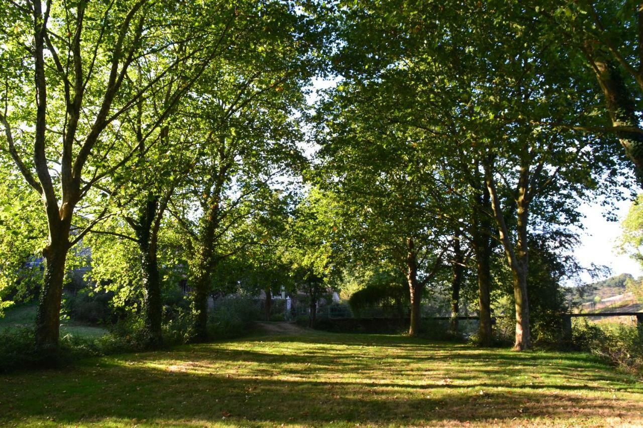 Le Moulin Neuf Beaupréau-en-Mauges Exterior foto